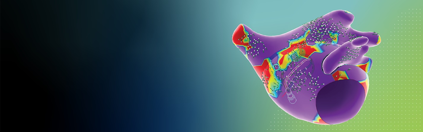 EnSite OT Near Field