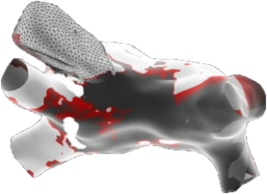EnSite OT peak frequency map
