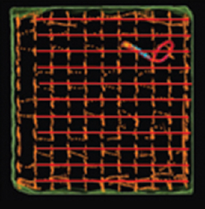 EnSite NavX Navigation model of DWL cube displacement levels.