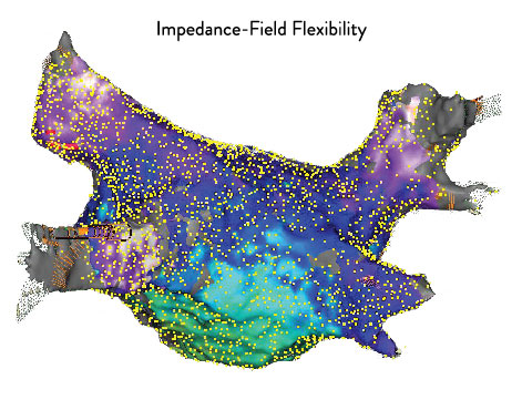 EnSite Precision Cardiac Map of Impedance-Field Flexibility