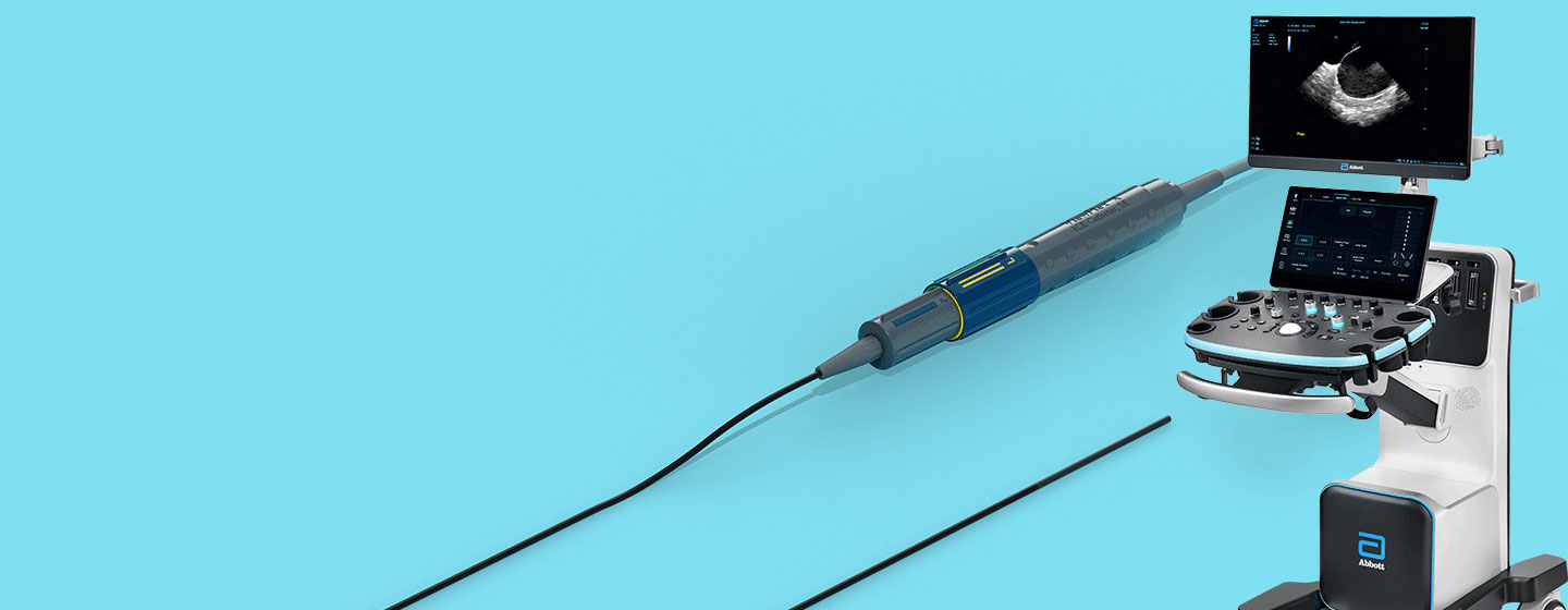 ViewMate Multi Ultrasound System & ViewFlex X ICE Catheter, SE