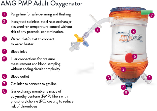 Diagram of the AMG PMP Adult Oxygenator