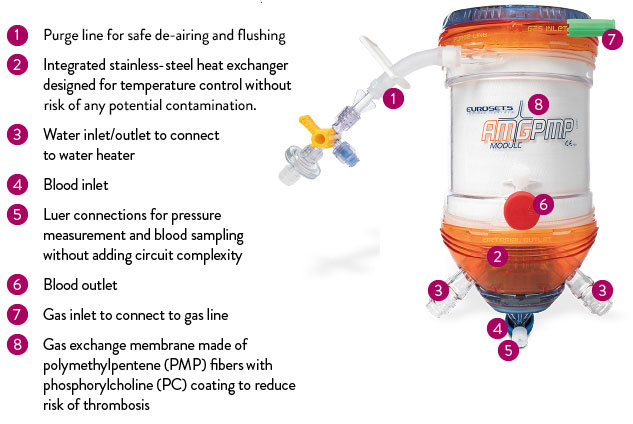 Diagram of the AMG PMP Adult Oxygenator