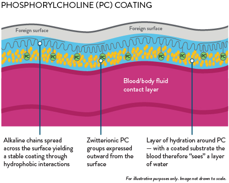 Diagramm und Details der Phosphorylcholin-Beschichtung im CentriMag™ System mit Kontaktschichten und hydrophoben Wechselwirkungen.