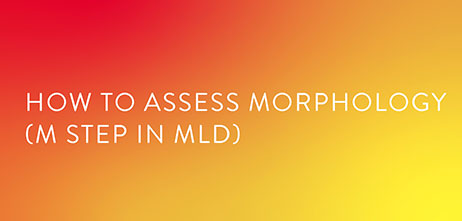 How to assess morphology using MLD MAX