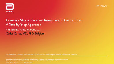 Coronary Microcirculation Assessment in the Cath Lab: A Step by Step Approach