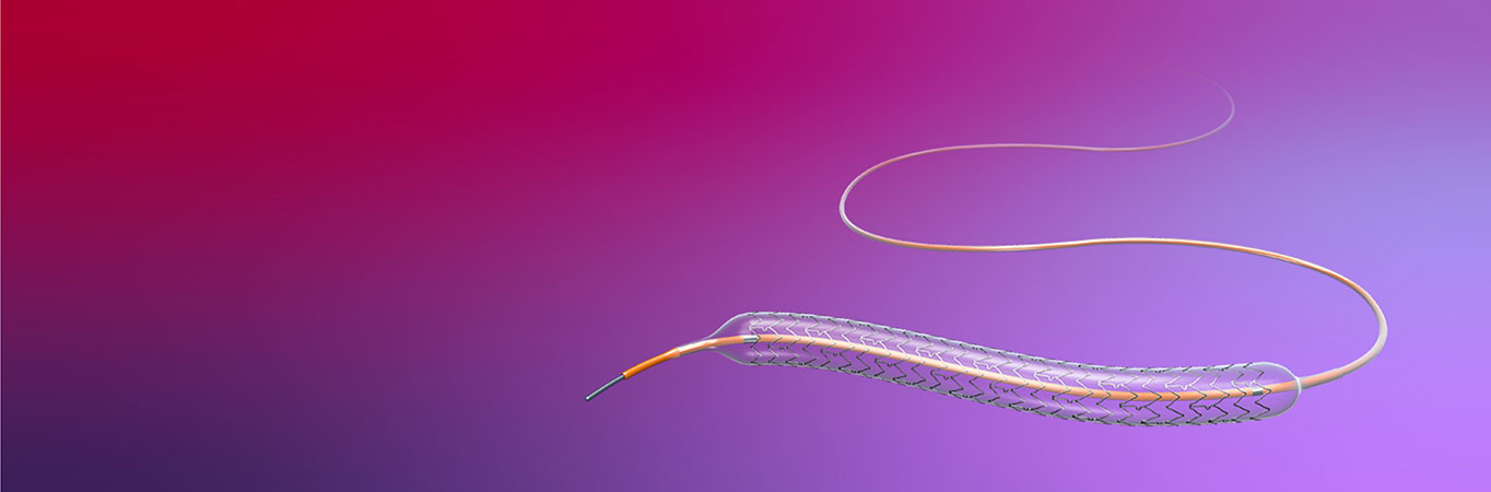 XIENCE™ Family of Drug-Eluting Stents