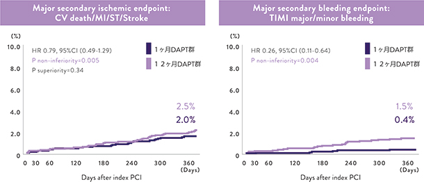 XIENCE Stent