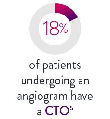   18% of patients undergoing an angiogram have a CTO