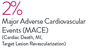 STEMI Registry shows XIENCE Stent with low 2% MACE (cardiac death, MI, target lesion revascularization)