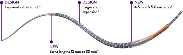 Skypoint Stent Diagram