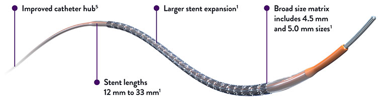 Skypoint Stent Diagram