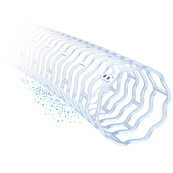 Esprit BTK scaffold and Esprit BTK Everolimus Eluting Resorbable Scaffold System