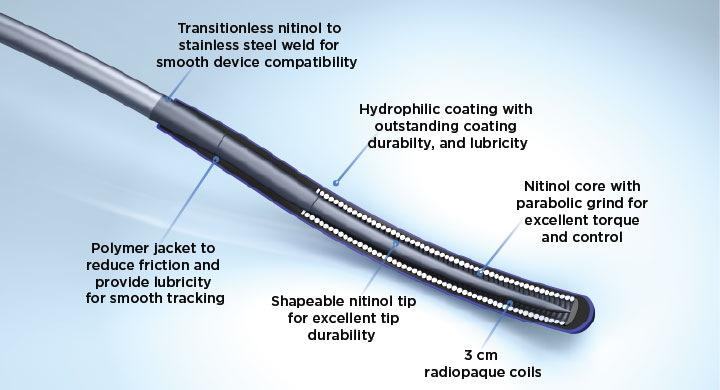 Hi-Torque Command™ peripheral workhorse guidewires construction and features contribute to success