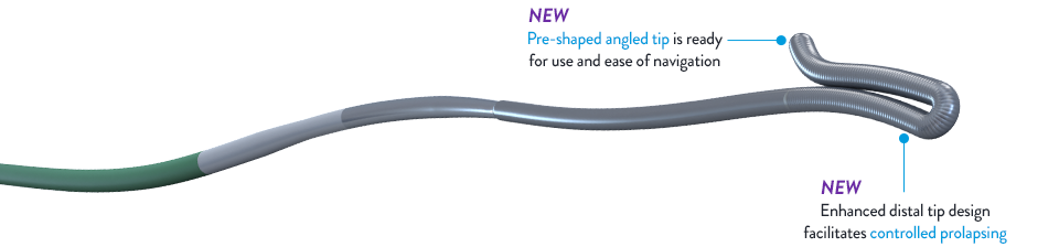 Hi Torque Command Guidewire prolapse