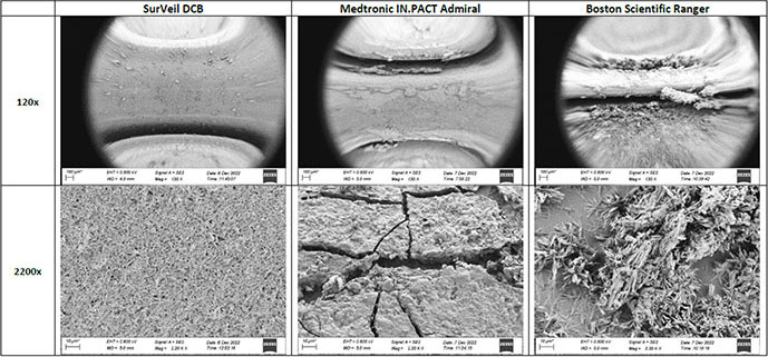 Surveil SEM images