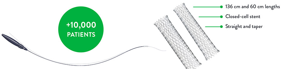 XACT Carotid Stent System