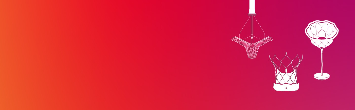 Transcatheter Valve Solutions