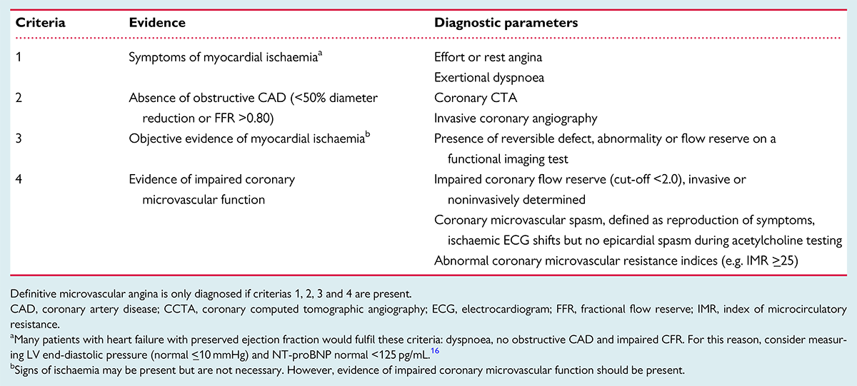 microvasculature is not viewed on angiogram