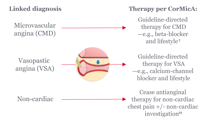 CorMicA Trial: 1-Year RCT Outcomes