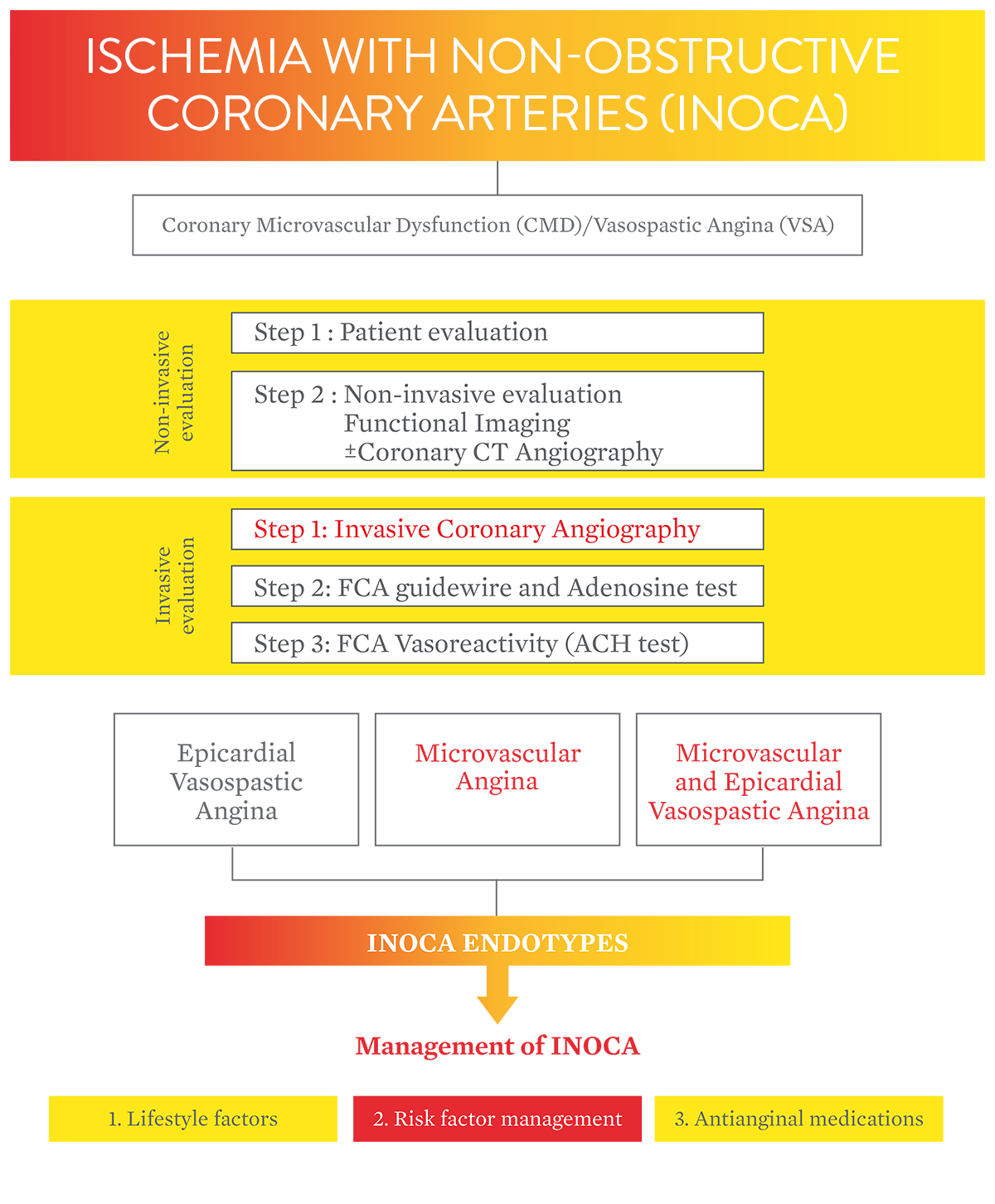 microvasculature is not viewed on angiogram