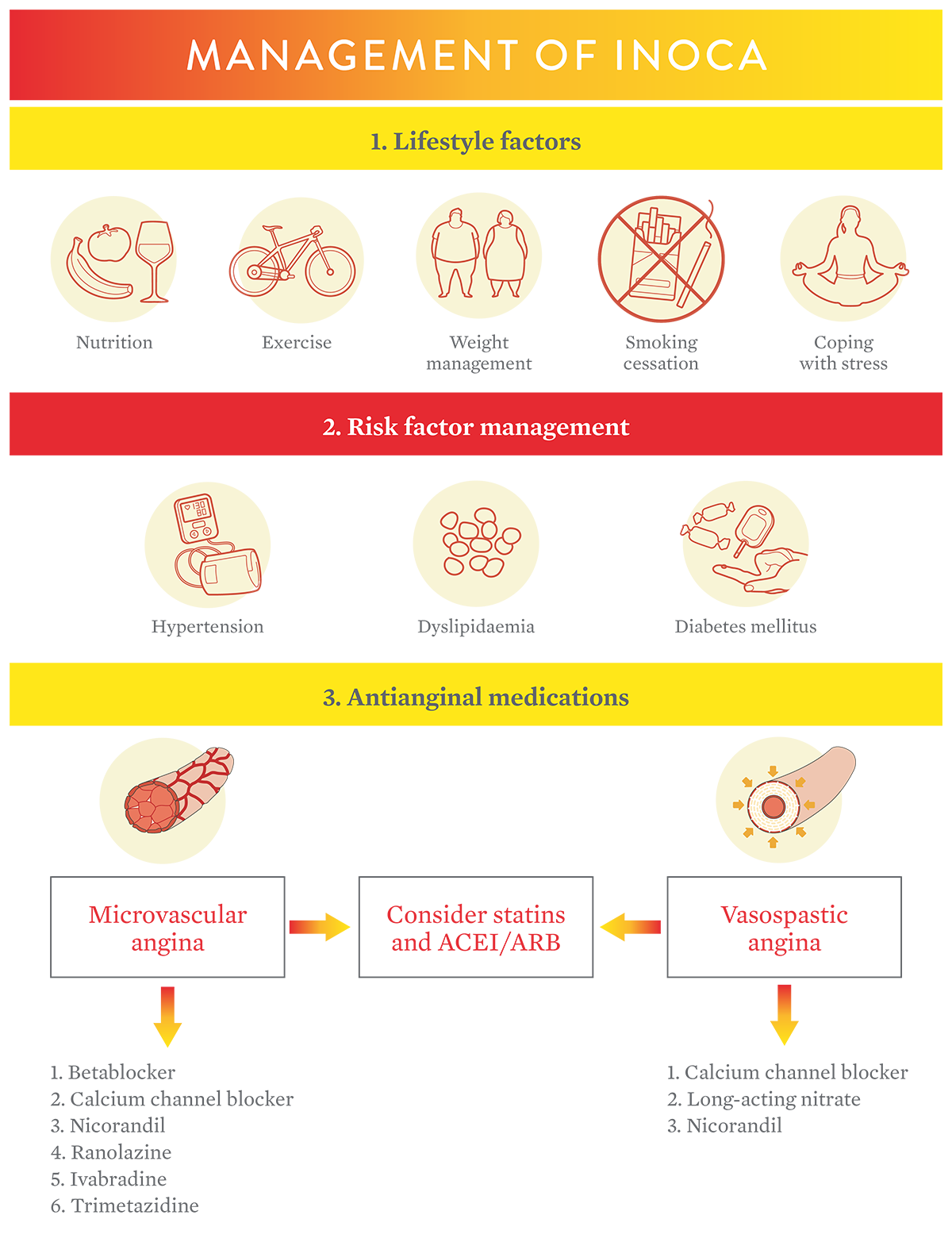 microvasculature is not viewed on angiogram