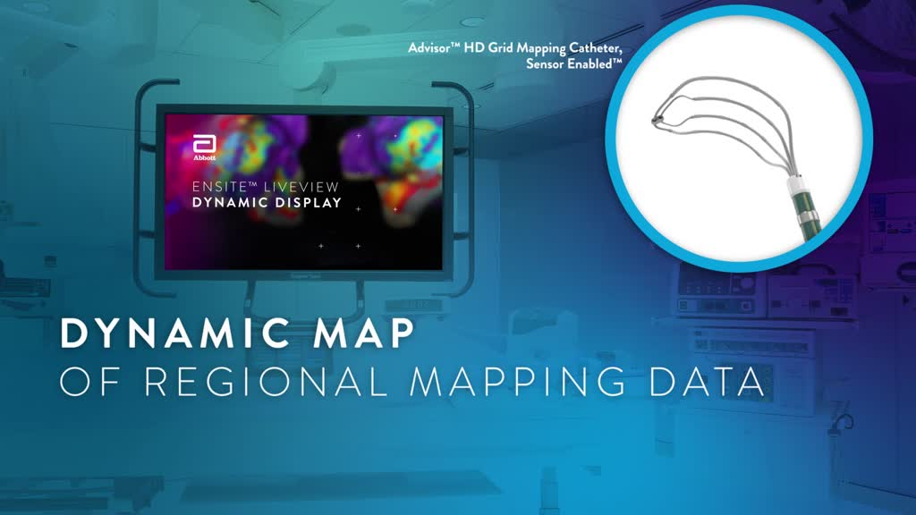 Advisor HD Dynamic Map of Regional Mapping Data Video