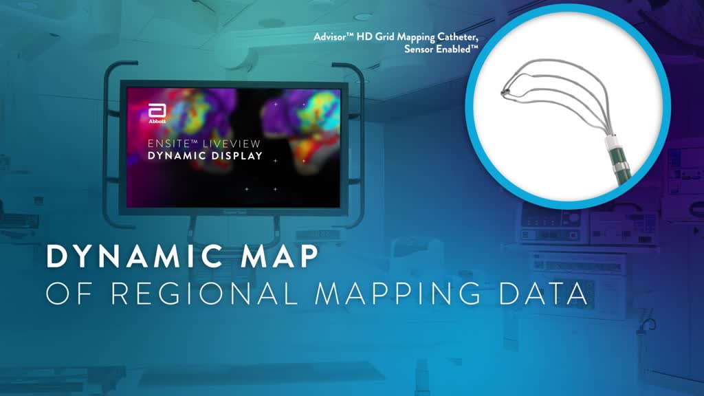 Dynamic map of regional mapping data video