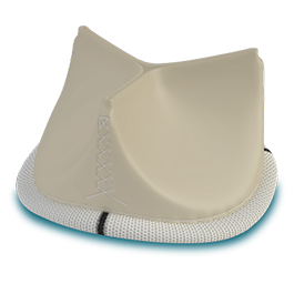 Amplatzer PFO Occluder