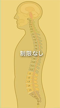 spine graphic