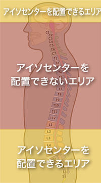 spine graphic above eye below lumbar vertebrae (L4)