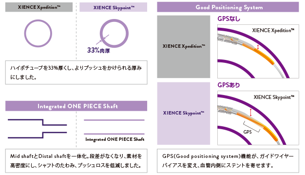 XIENCE Skypoint Stent 