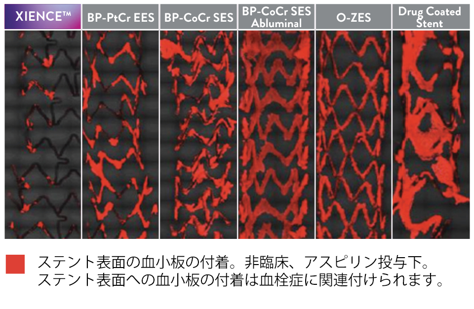 XIENCE Stent fluoropolymer