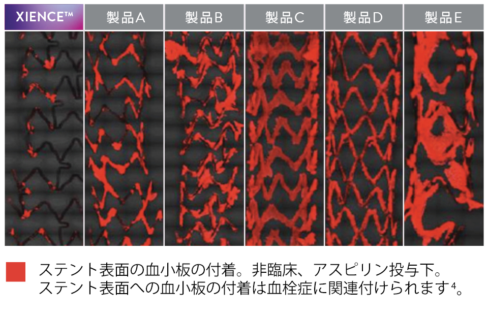 XIENCE Stent fluoropolymer