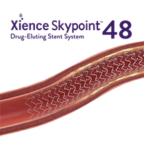 XIENCE Stent