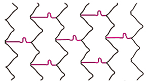  stent strut illustration