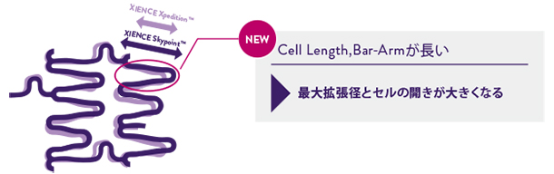 XIENCE Skypoint Stent 