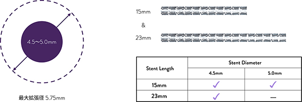 xience stent