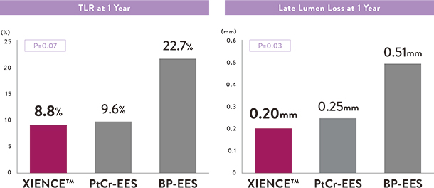 xience stent