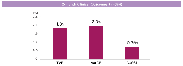  XIENCE™ STEMI Registry