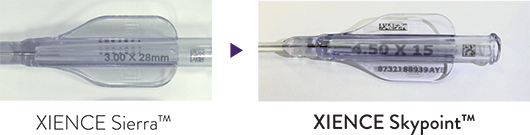  xience sierra vs xience skypoint product image