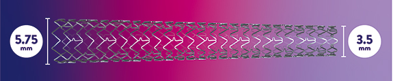 xience stent