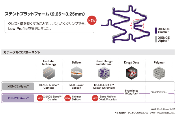 XIENCE Skypoint Stent 