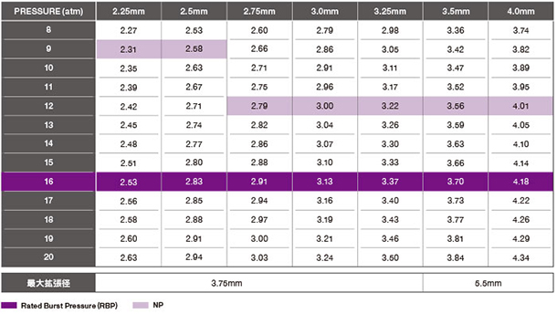 XIENCE Skypoint Stent 