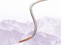 xience stent