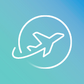 icon of plane flying