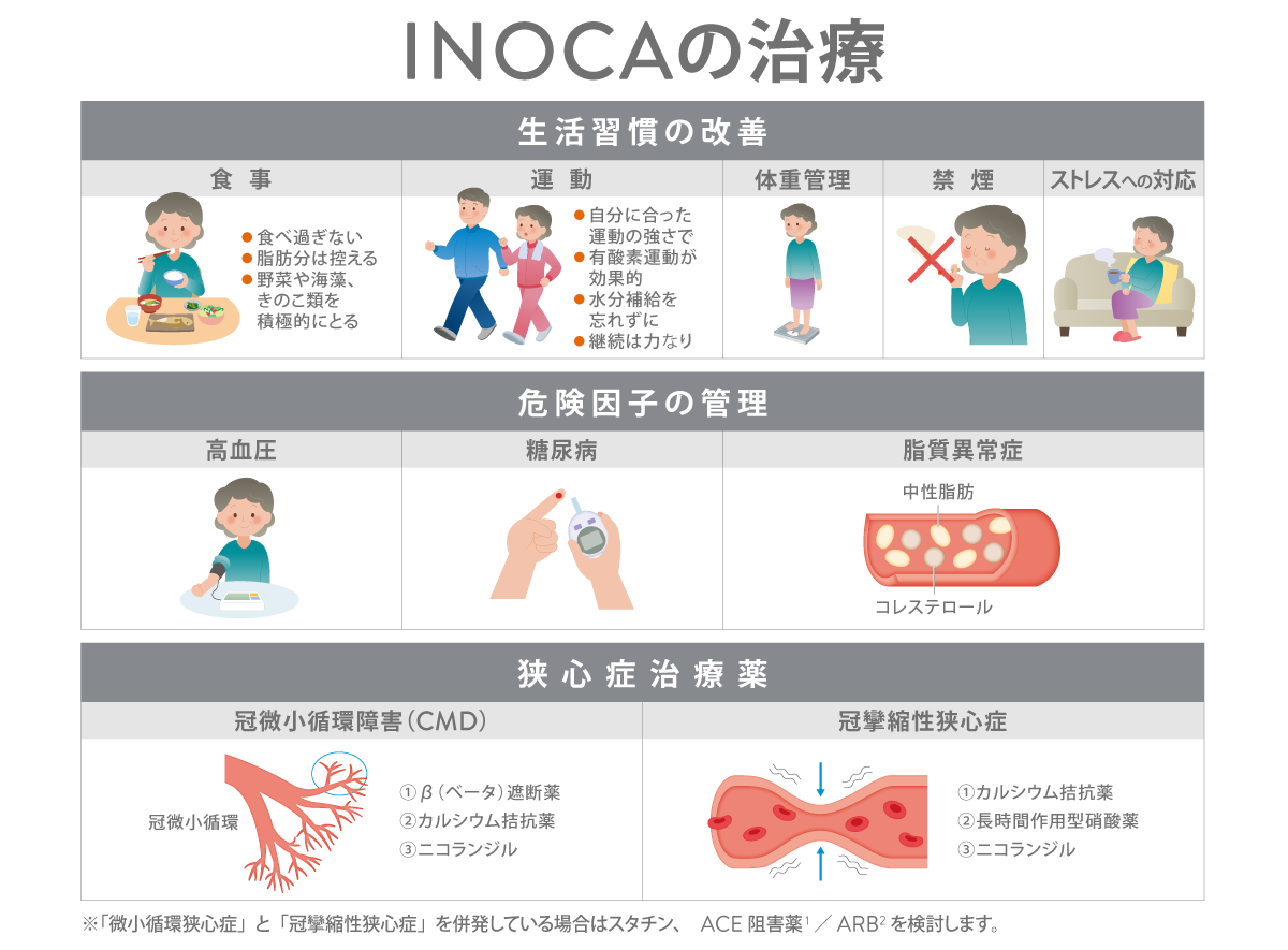 cmd shitajiki inoca infographic