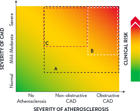 Clinical spectrum of CMD